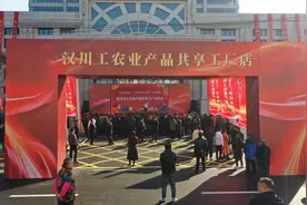 汉川工农业产品“共享”工厂店火爆开业图片