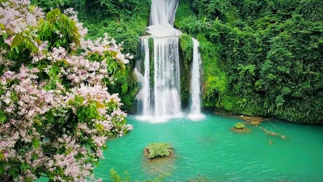 百色田东，“中国芒果之乡”不止芒果！