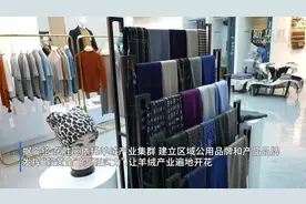 “中国绒都”鄂尔多斯：羊绒产业遍地开花图片
