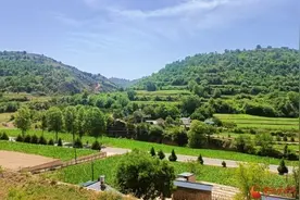 香约庆阳 包容天下｜华池庄科村：窑洞变民宿 富民产业“牛”劲足图片