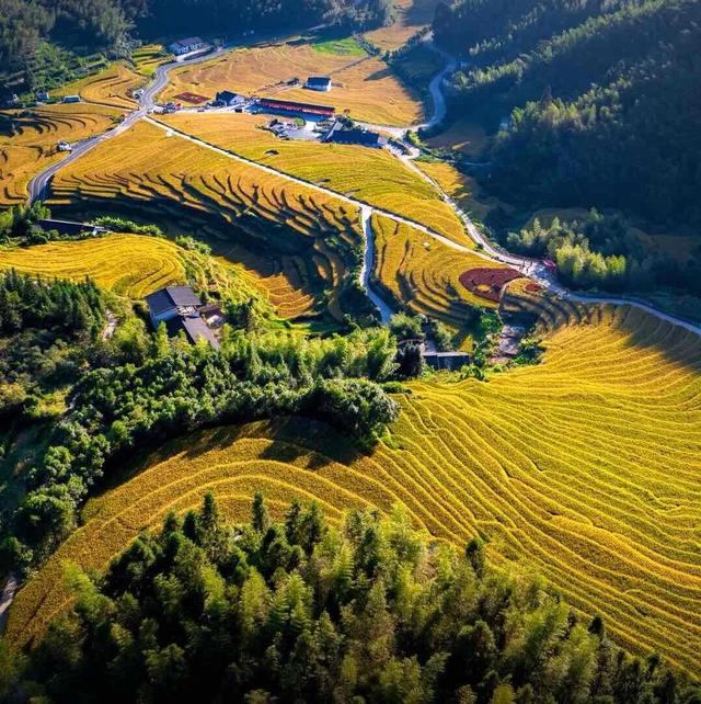 秋日江西，一场山川与丰收的治愈之旅