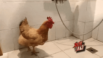 上海一拆迁地现无名尸，脖子	、手脚被捆绑！多年后真相曝光↗