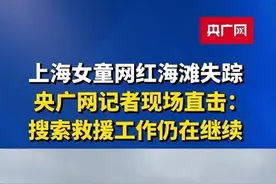 海滩失踪女童父亲：返回时脚趾被石头割伤，耽误了时间图片