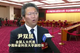 全国人大代表、中南林业科技大学副校长尹双凤：未来要将AI技术纳入课程体系，服务创新人才培养图片