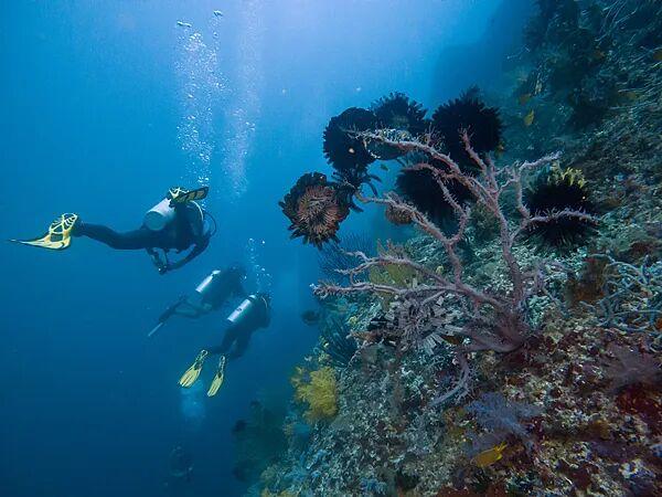 最新确认：对中国公民免签！上海4小时直飞！最近旺季，咨询量暴增！好吃+好玩