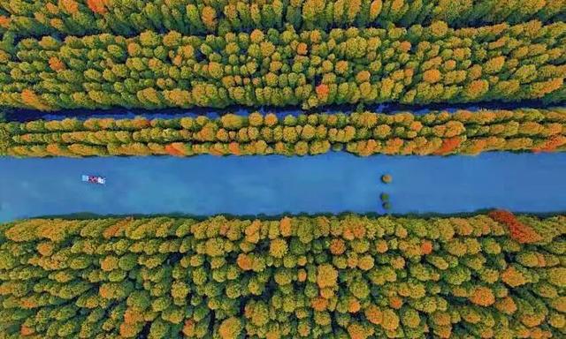 立冬第一游去哪里？淮安5处目的地，这个时节美翻了！