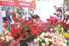 看花去，买花去，申城的花市没有冬日图片