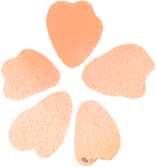 与石狗一起跨年！元旦赴一场与雷州的“旺”城之约→