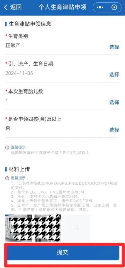 生育津贴和育儿补贴有何区别