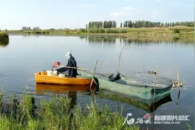 假日走基层丨鱼肥虾美 “新鲜”出天山图片