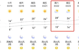 趁春天，赏花吧！郑州这些花展错过再等一年！图片
