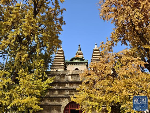 北京：五塔寺秋色浓