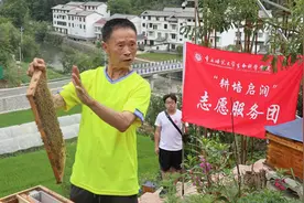 智慧养蜂 兴隆有“蜜”方图片