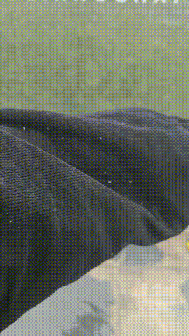 刚刚，黄陂下雪了！