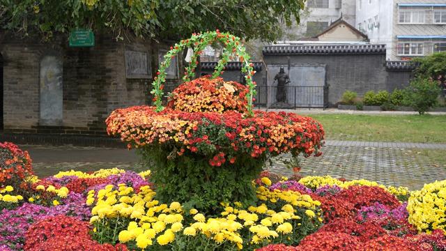 新野开启金秋赏花旅游季 打造"赏花经济"特色IP