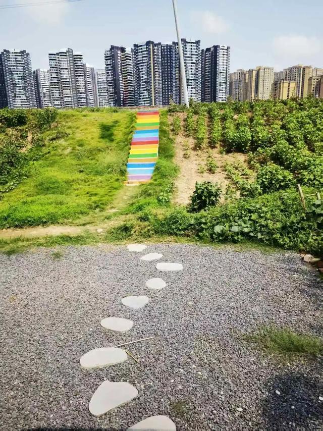 穿越龙泉山，发现一个「活的」老场镇