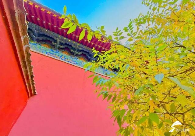 组图丨岱庙初冬美如诗 银杏书写“暖冬情书”