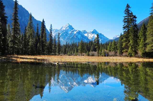 青睐绵阳 ‖ 雪山彩林上线！去平武王朗赴一场金秋视觉盛宴~