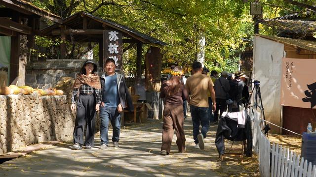 腾冲银杏村，迎来最佳观赏季！