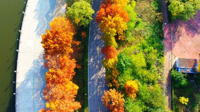 漫步潍坊诸城感受苏轼笔下的超然 邂逅一座城市的五彩斑斓