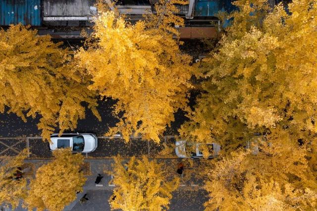 宜兴，一路斑斓！