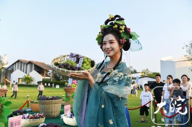 葡香满园等你来！合肥大圩第23届葡萄文化旅游节启幕