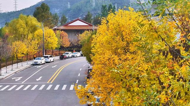 神木滨河新区秋色如画 邂逅诗意生态美景
