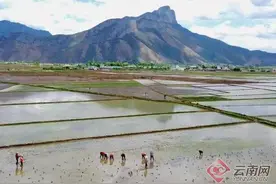 云南宁蒗：人才引领产业兴 绘就永宁新画卷图片
