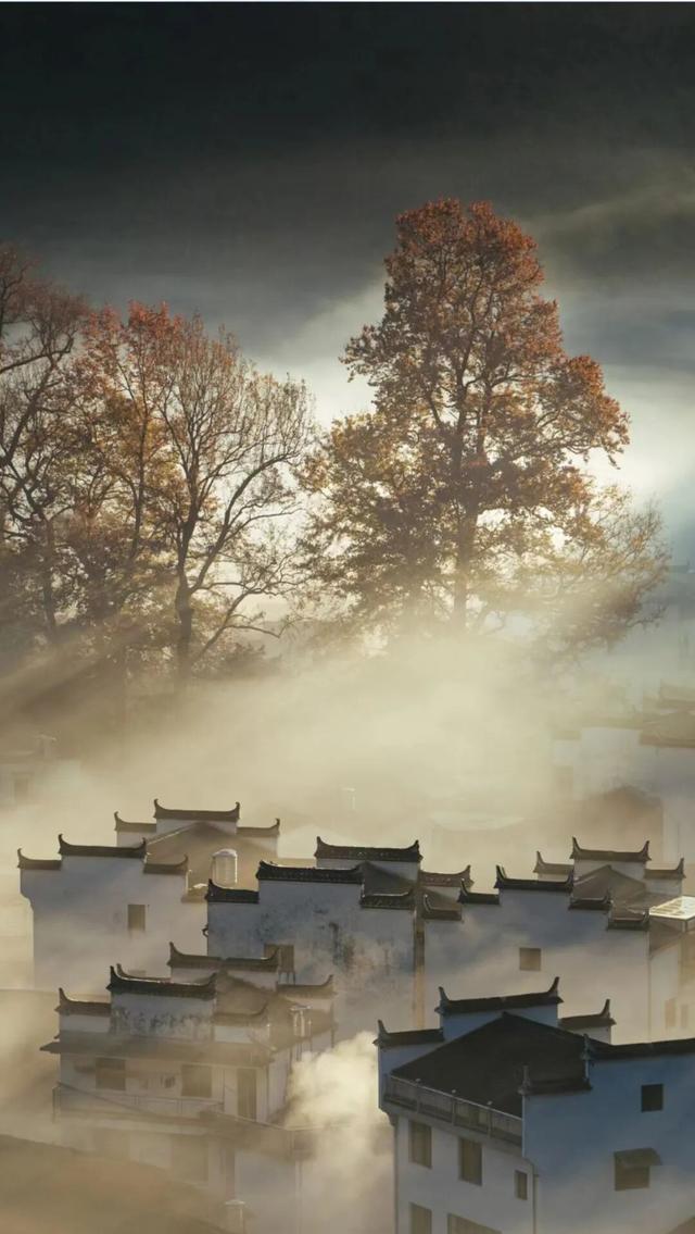 上饶绝美“枫景”加载完毕，前往石城锁定你的赏枫C位！