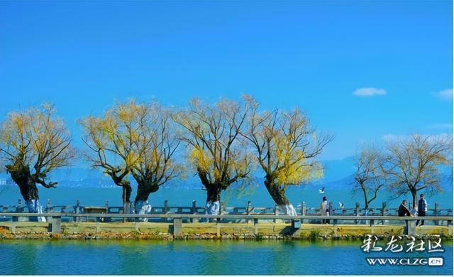 昆明小众人少看滇池喂海鸥的宝藏打卡地