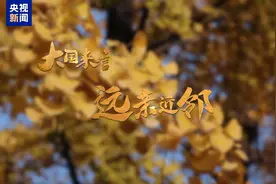 大国来信丨远亲近邻图片