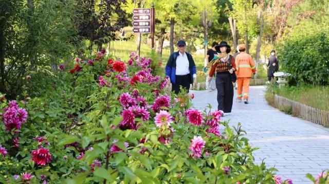 秋日寻芳何处去？五台山等你