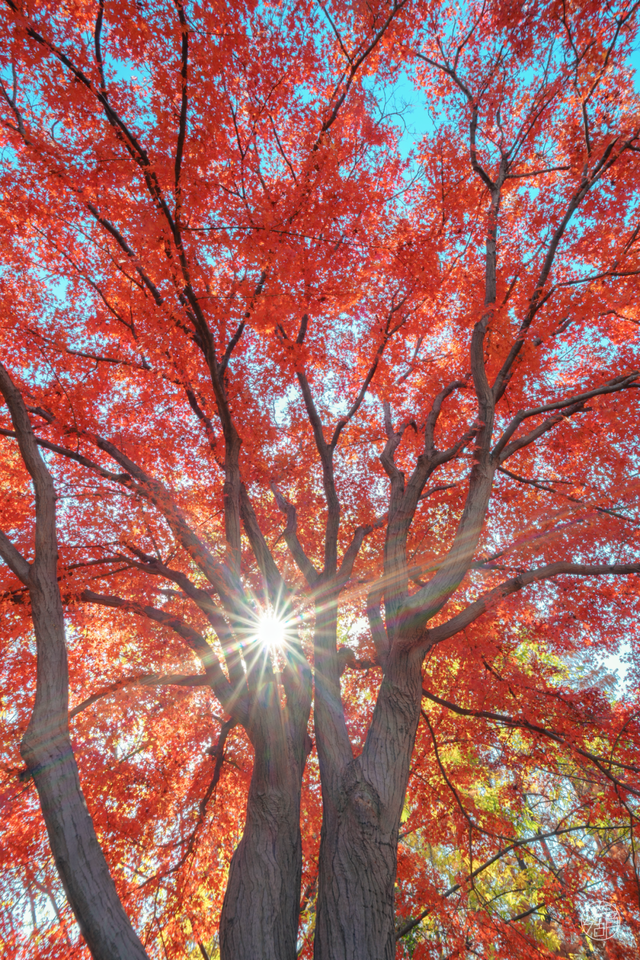 东湖这四处绝美秋景，出片率100%