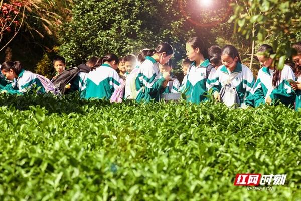 长沙县盲盒计划 | 诗与“附近”的小众漫游指南