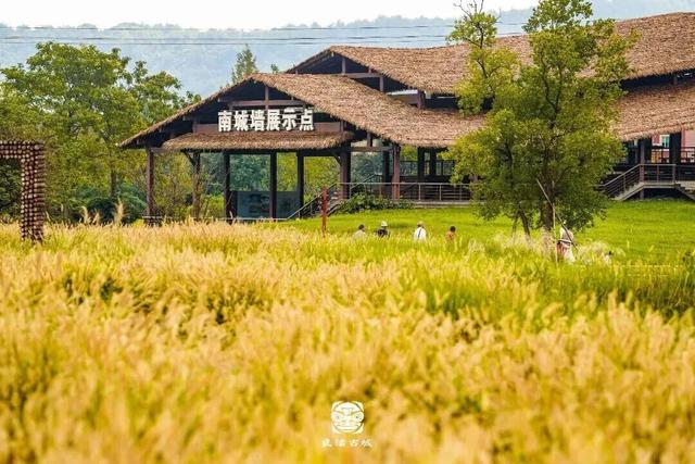 余杭这里将交通管制！接驳指南、周边攻略收好