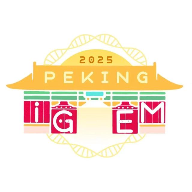 一起照亮更广阔的世界丨北京大学代表队参加国际基因工程机器大赛2025年参赛总结