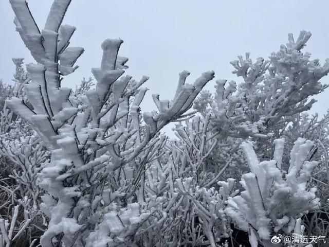 -5.8℃，广东下雪了！还要冷多久？升温+降雨马上到……祛寒靓汤，分享亲友→