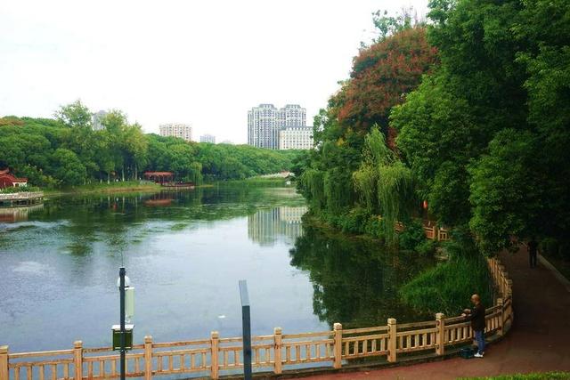枝江秋色：长江之畔浓淡相宜的美丽画卷