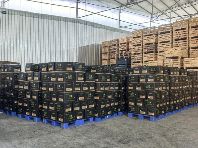 “双11”15年观察：安岳柠檬换条“赛道”闯世界