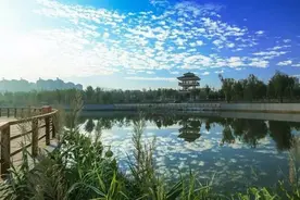 这里是章丘——枣园图片