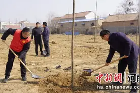 又是一年播绿时 河南多地植树为生态“增容”图片