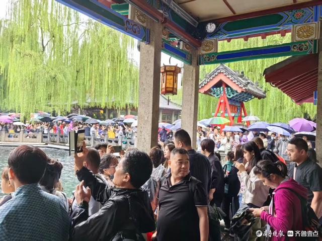 双节拍 | 雨中趵突泉，花伞簇泉人头攒动