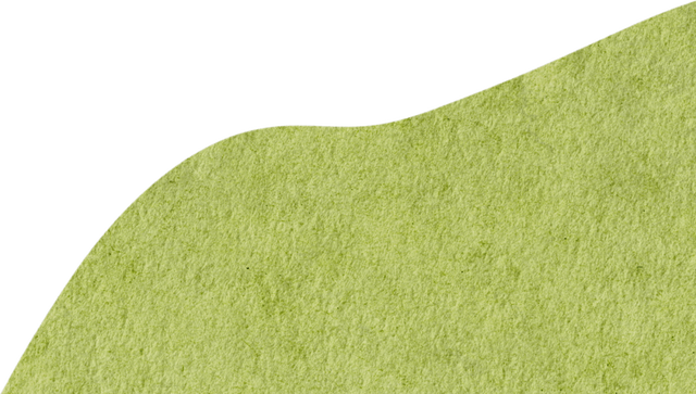 【遂川乡村游】“不去衙前看猛楠，游遍遂川也枉然”附新江古树秘境