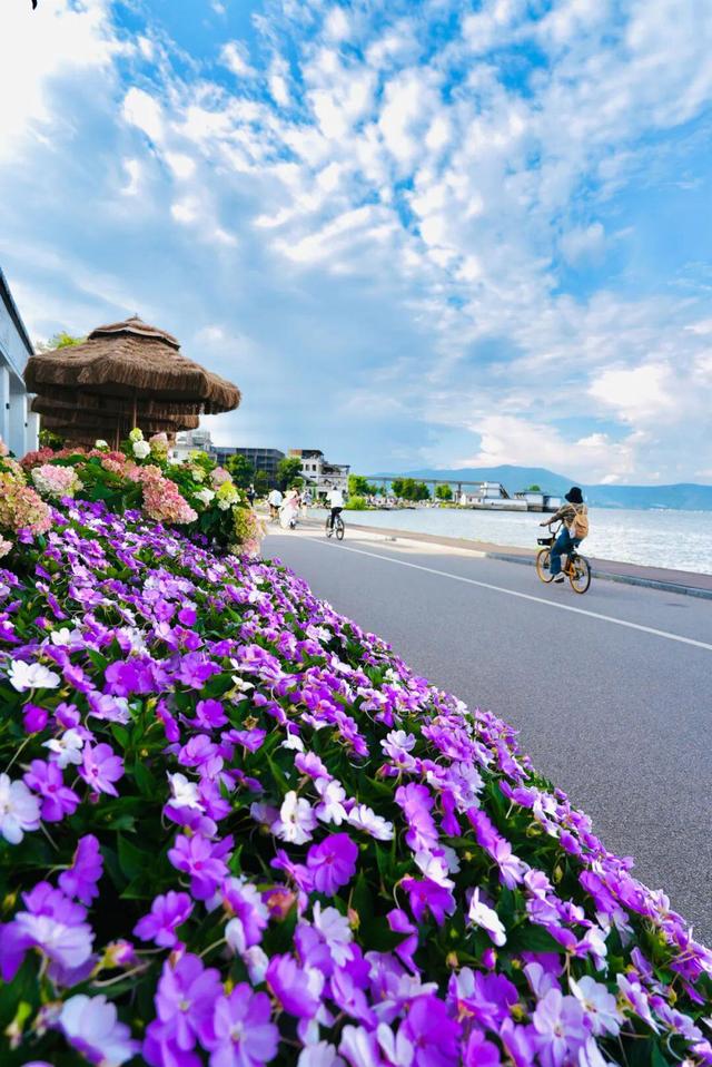 大理最治愈的129公里：这个夏天，在洱海边找到生活的解药