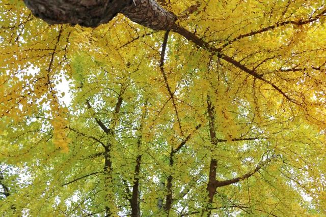 日照街道的这些地方！美极了！