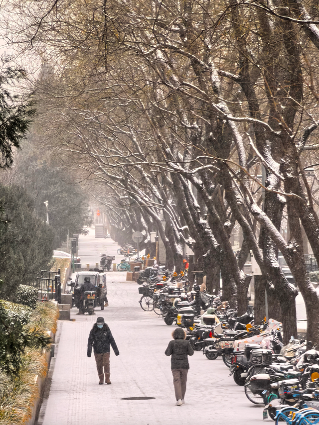 北京初雪正式上线！赴一场冬日限定之约