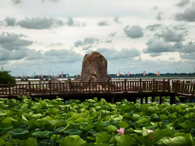活力中国调研行丨生态保护先行 查干湖风景美如画
