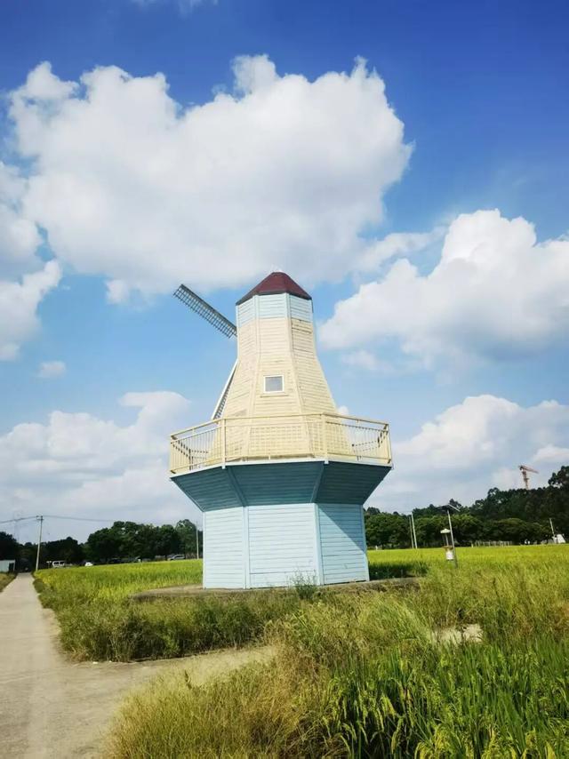 天府新区「村咖指南」