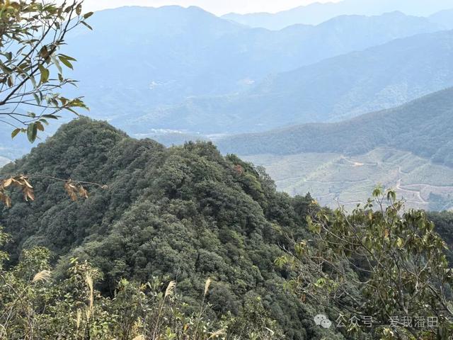 打卡丰顺尖笔岽！看狗探石奇观，瞰半山水库，一览三镇美景