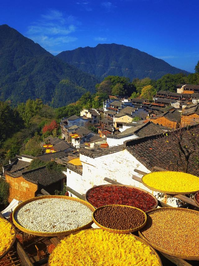 晚潮｜且道惊鸿婺源行